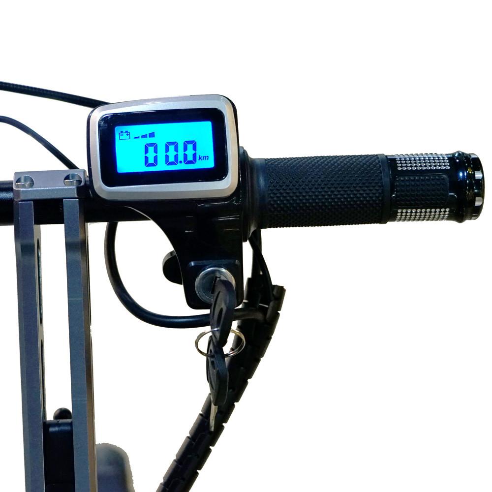 H9-3 Fashion Two Wheels Electric Folding Bicycle 36V Lightweight Small Electric Bike 13.5kg E-Bike - -Grey