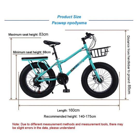 CRONY 22 inch sand electric vehicle Outdoor desert riding electric bicycle | Black - Edragonmall.com