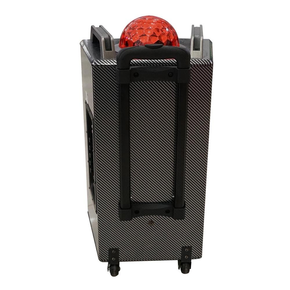 CRONY DT-1103 Speaker with bluetooth/FM/USB/SD and colored lights - Edragonmall.com