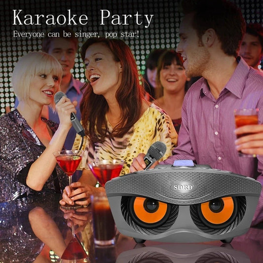 SDRD SD306 Plus 30W Karaoke Player Dual bluetooth 4.2 Speaker Family KTV Stereo Mic Big Sound Speaker with 2 Wireless Microphones-Grey - Edragonmall.com