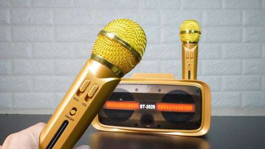 ST-2028 BT Speaker Comes with 2 wireless microphones Full Bluetooth, USB, AUX, TF card connectivity - Edragonmall.com