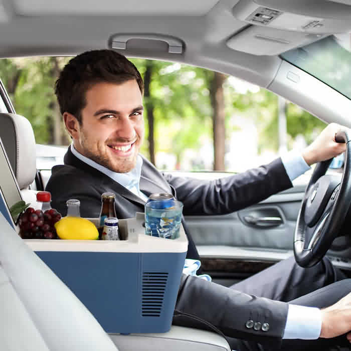 Car Refrigerator - Edragonmall.com