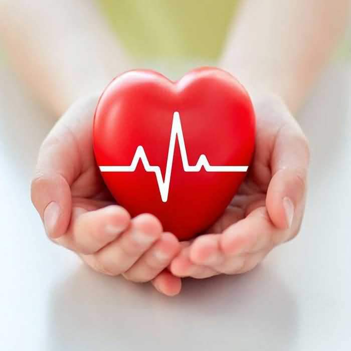 Health & protection - Edragonmall.com