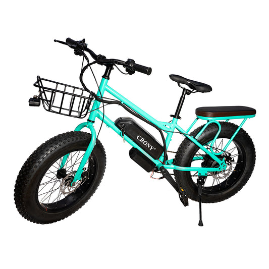 CRONY 22” Sand Rider  electric Outdoor desert riding electric bicycle