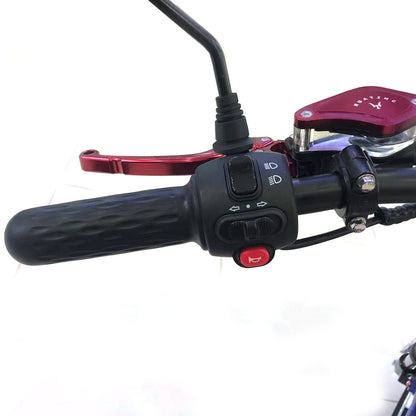 كروني نيو X1 هارلي سيارة كهربائية مع مكبر صوت بلوتوث سكوتر كهربائي تعليق أمامي وخلفي