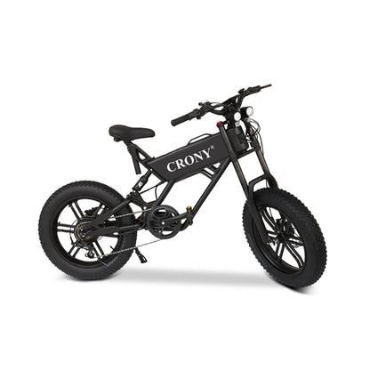 دراجة كهربائية CRONY T01 بقوة 750 واط، إطار سميك 20 بوصة، دراجة كهربائية للبالغين