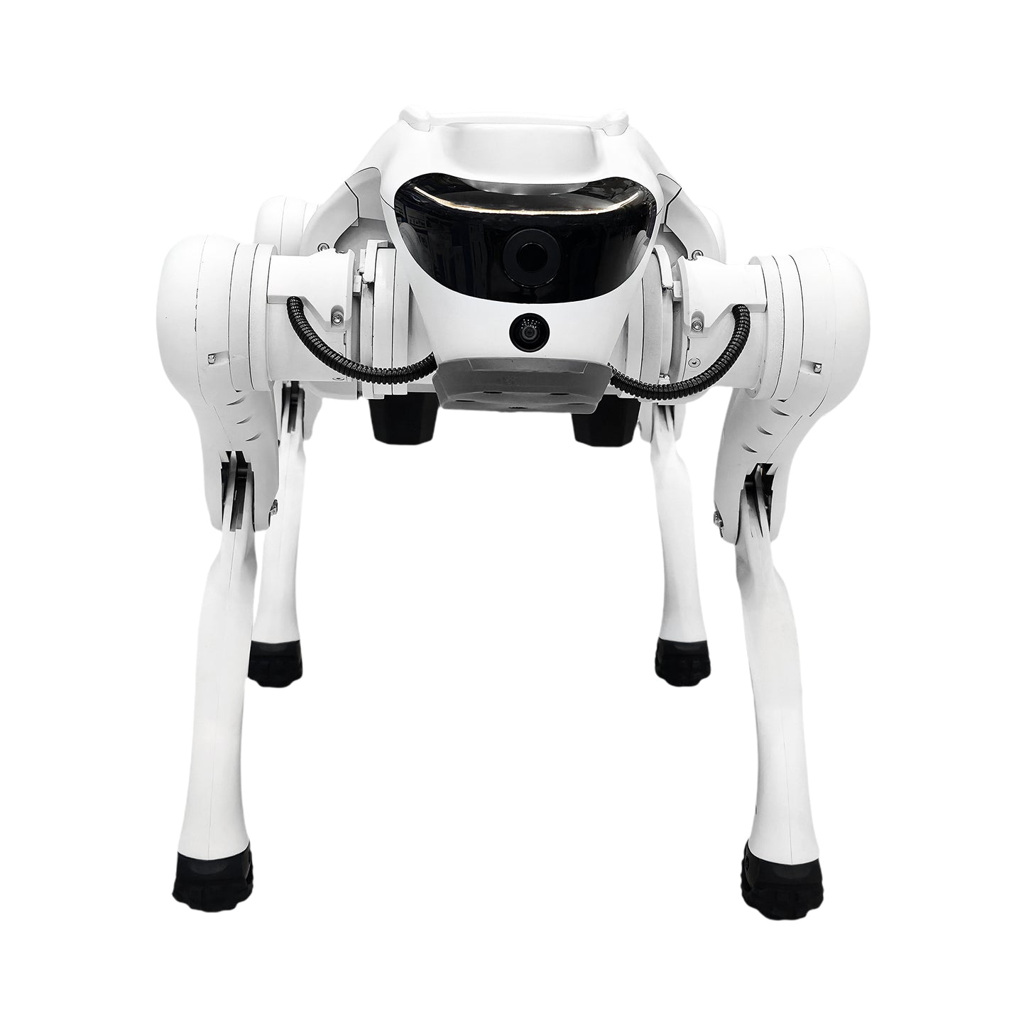 CRONY Advanced Smart AI Robot Dog, engineered for advanced technology enthusiasts, education, research, and AI development. Designed with a premium aluminum alloy frame combined with high