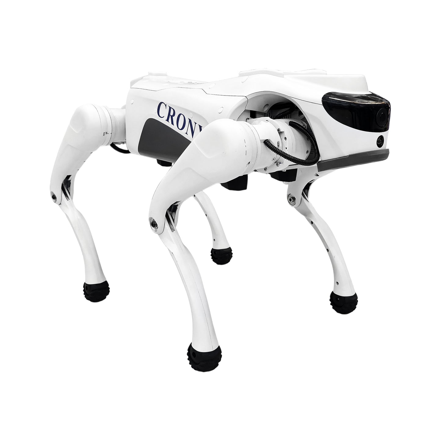 CRONY Advanced Smart AI Robot Dog, engineered for advanced technology enthusiasts, education, research, and AI development. Designed with a premium aluminum alloy frame combined with high