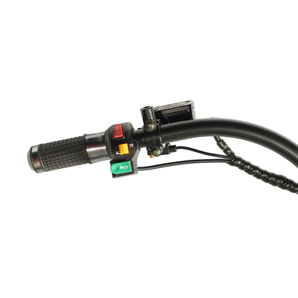 كروني صغير X1 هارلي سيارة دراجة كهربائية Ebike هارلي سيارة سكوتر كهربائي شاشة LCD بطارية قابلة للفصل