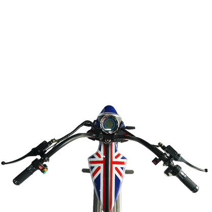 كروني صغير X1 هارلي سيارة دراجة كهربائية Ebike هارلي سيارة سكوتر كهربائي شاشة LCD بطارية قابلة للفصل