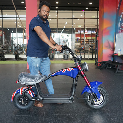 كروني صغير X1 هارلي سيارة دراجة كهربائية Ebike هارلي سيارة سكوتر كهربائي شاشة LCD بطارية قابلة للفصل