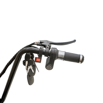 سكوتر كهربائي CRONY SS-11W مع تعليق، سكوتر ثلاثي العجلات مع سلة، دراجة كهربائية