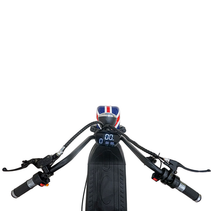 سكوتر كهربائي CRONY SS-11W مع تعليق، سكوتر ثلاثي العجلات مع سلة، دراجة كهربائية