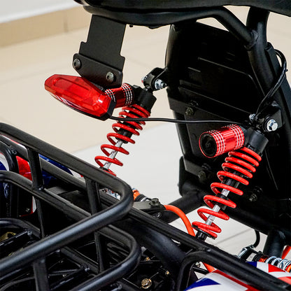 سكوتر كهربائي CRONY SS-11W مع تعليق، سكوتر ثلاثي العجلات مع سلة، دراجة كهربائية