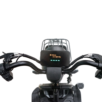 CRONY X3B  electric bike Electric Bicycles 3 wheel Electric Scooter