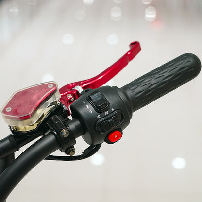 كروني نيو X1 سيارة هارلي إلكتروموبيل مع مكبر صوت BT سيارة إلكتروموبيل سكوتر كهربائي سيتيكوكو عجلة سميكة أحمر