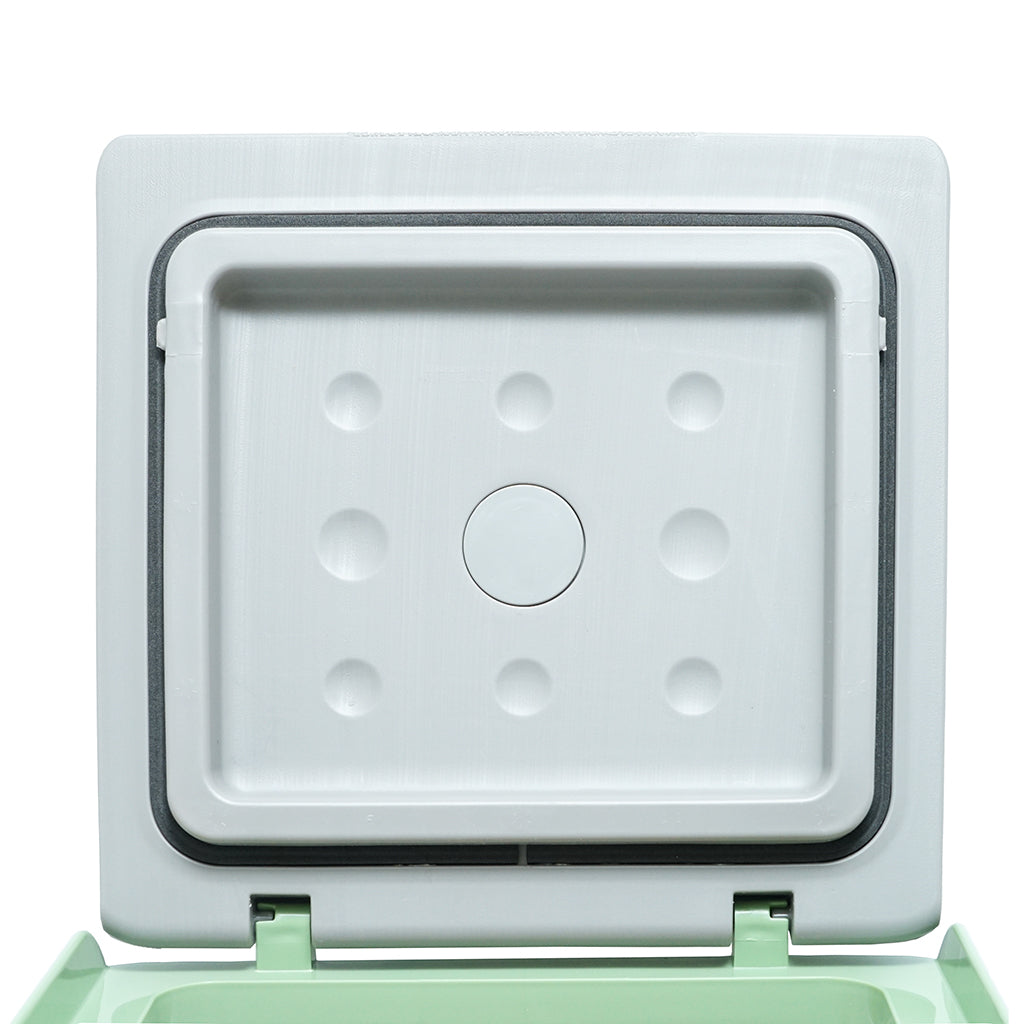 ثلاجة سيارة CRONY 9L-C9 ضاغط جمال ثلاجة صغيرة مستحضرات التجميل العناية بالبشرة صندوق تبريد متنقل