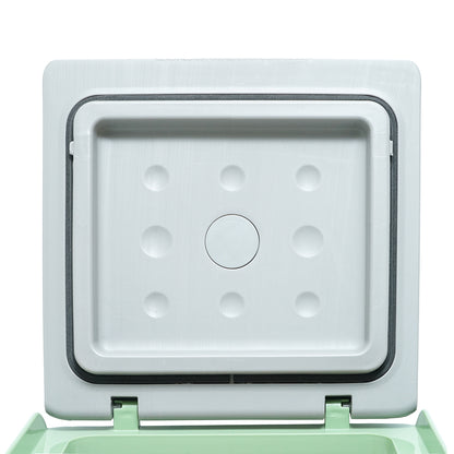 ثلاجة سيارة CRONY 9L-C9 ضاغط جمال ثلاجة صغيرة مستحضرات التجميل العناية بالبشرة صندوق تبريد متنقل