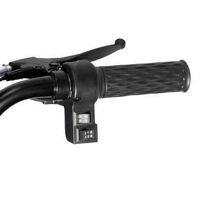 CRONY X3B  electric bike Electric Bicycles 3 wheel Electric Scooter