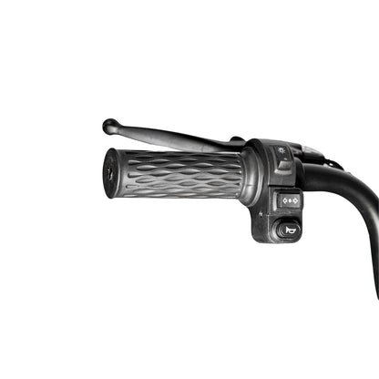 CRONY X3B  electric bike Electric Bicycles 3 wheel Electric Scooter