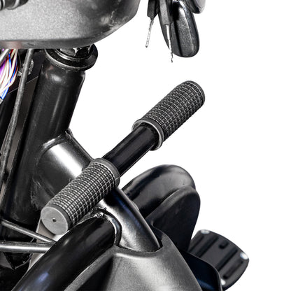 CRONY X3B  electric bike Electric Bicycles 3 wheel Electric Scooter