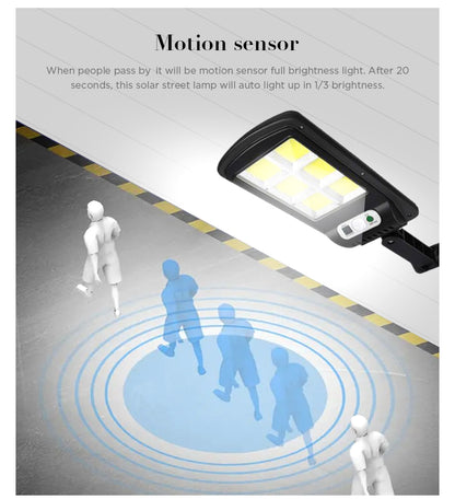T06-6 Solar induction street lamp