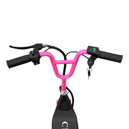 Crony JL005-03 Mini Harley is a compact and stylish electric scooter designed for effortless rides. Powered by a 250W motor and a 36V / 4.8Ah battery