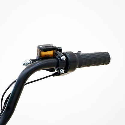 CRONY NEW TAKE-OUT ELECTRIC BICYCLE 500W Motor 60V 20AH Battery Disc Brake