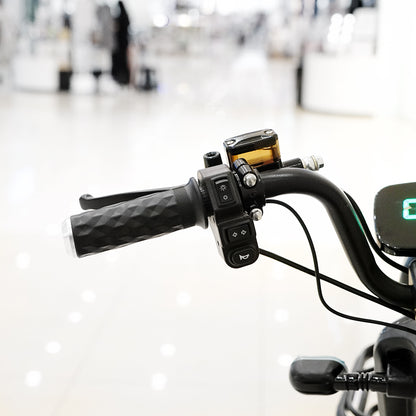 CRONY NEW TAKE-OUT ELECTRIC BICYCLE 500W Motor 60V 20AH Battery Disc Brake
