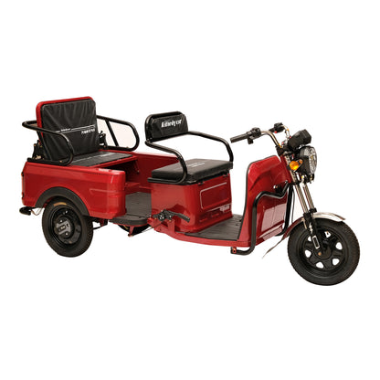 كروني X1A X1B ثلاثي العجلات الثقيل 3 عجلات شاحنة إلكترونية كبيرة دراجات كهربائية سكوتر كهربائي