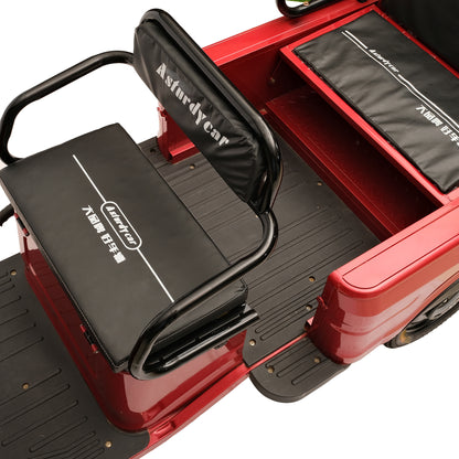 كروني X1A X1B ثلاثي العجلات الثقيل 3 عجلات شاحنة إلكترونية كبيرة دراجات كهربائية سكوتر كهربائي