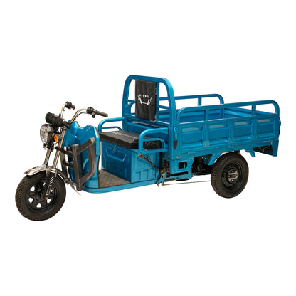 كروني X1A X1B ثلاثي العجلات الثقيل 3 عجلات شاحنة إلكترونية كبيرة دراجات كهربائية سكوتر كهربائي