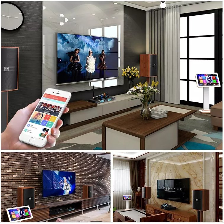 CRONY 200W KTV System 10 inch professional audio set karaoke - Edragonmall.com