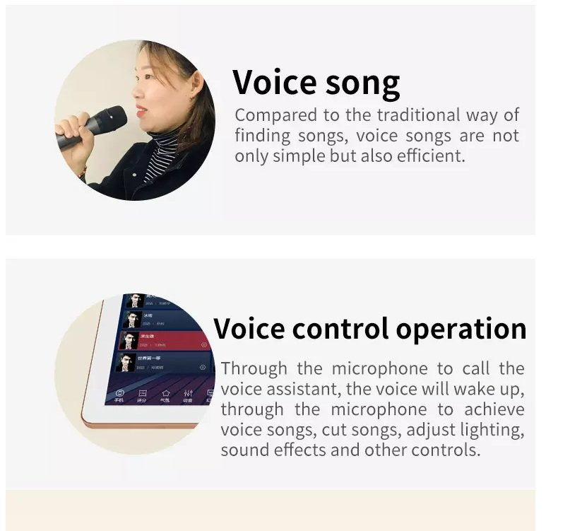 CRONY 200W KTV System 10 inch professional audio set karaoke - Edragonmall.com