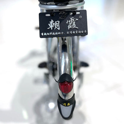 CRONY 22 Inch Ilan Princess Electric Car 350w 48v mid drive city electric bike removable lithium battery bicycle - Edragonmall.com