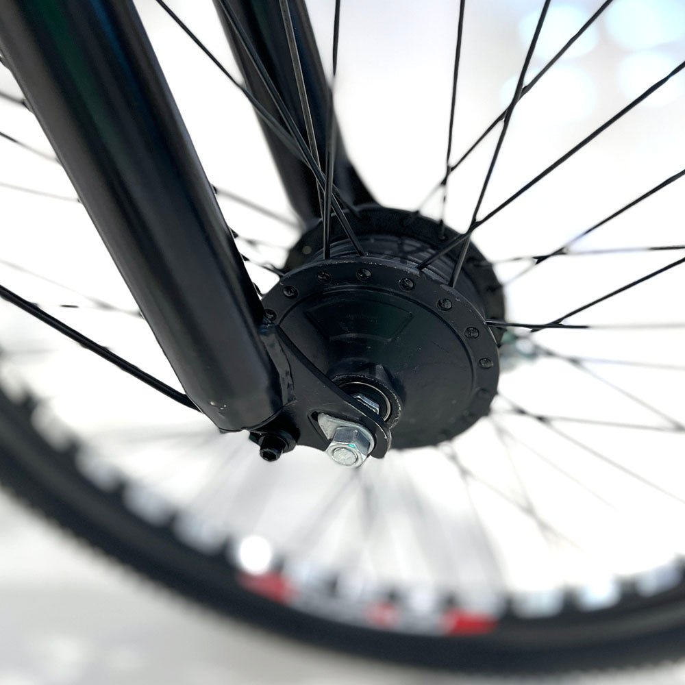 CRONY 22 Inch Ilan Princess Electric Car 350w 48v mid drive city electric bike removable lithium battery bicycle - Edragonmall.com