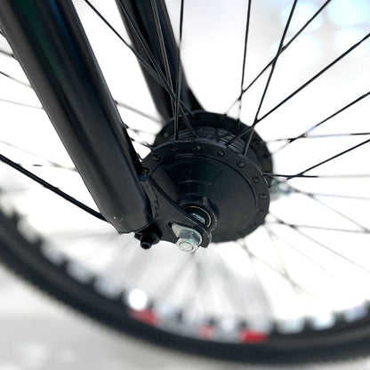 CRONY 22 Inch Ilan Princess Electric Car 350w 48v mid drive city electric bike removable lithium battery bicycle - Edragonmall.com