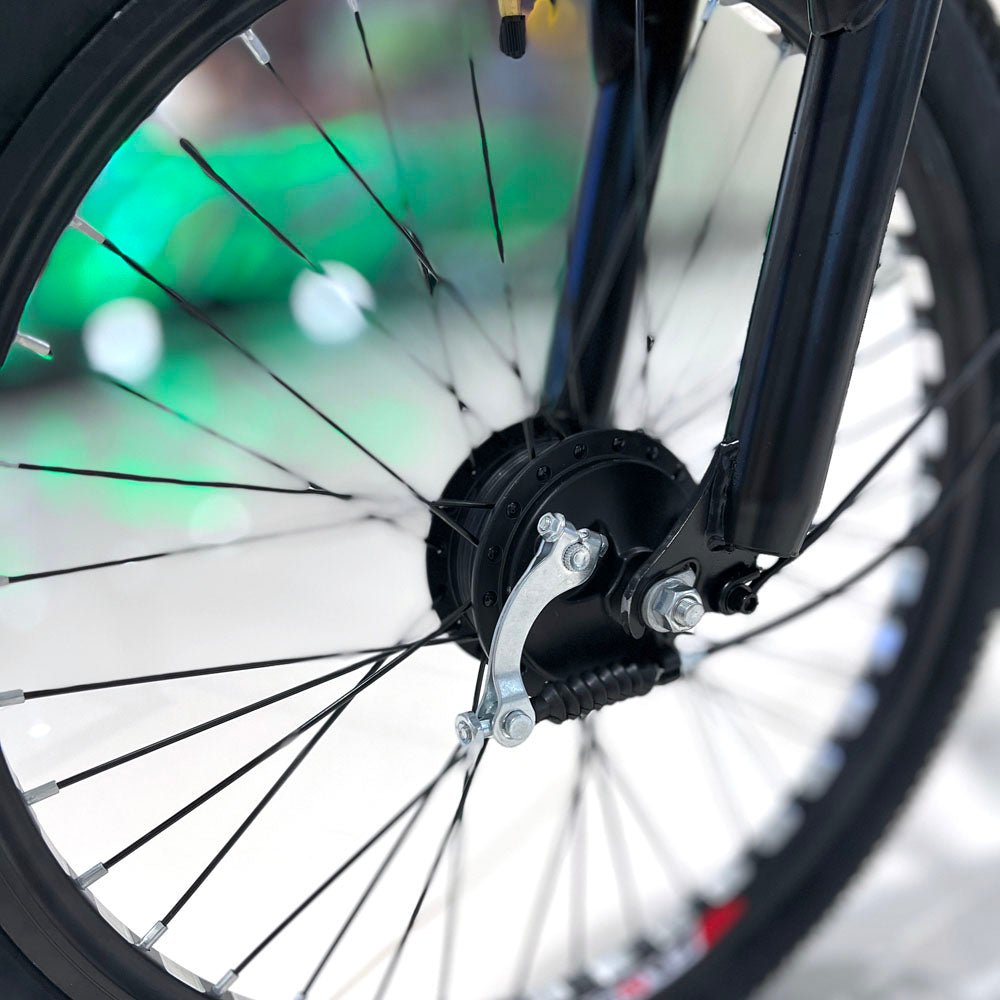 CRONY 22 Inch Ilan Princess Electric Car 350w 48v mid drive city electric bike removable lithium battery bicycle - Edragonmall.com