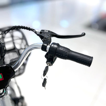 CRONY 22 Inch Ilan Princess Electric Car 350w 48v mid drive city electric bike removable lithium battery bicycle - Edragonmall.com