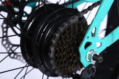 CRONY 22 inch sand electric vehicle Outdoor desert riding electric bicycle | Black - Edragonmall.com