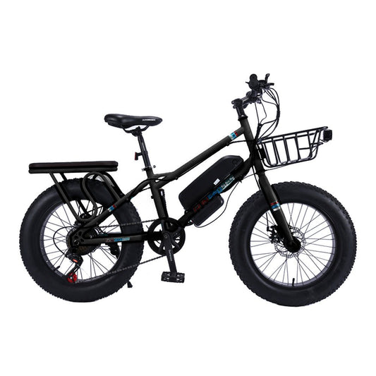 CRONY 22 inch sand electric vehicle Outdoor desert riding electric bicycle | Black - Edragonmall.com