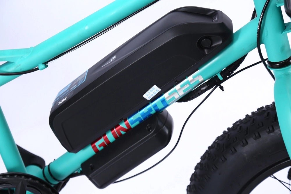 CRONY 22 inch sand electric vehicle Outdoor desert riding electric bicycle | BLUE - Edragonmall.com