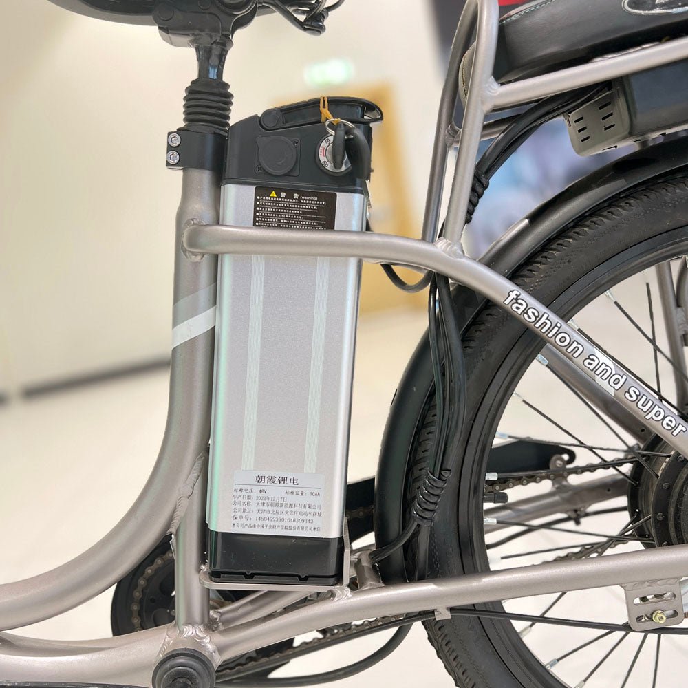 CRONY 22inch The fire spirit bird Electric bicycle E-BIKE bike - Edragonmall.com