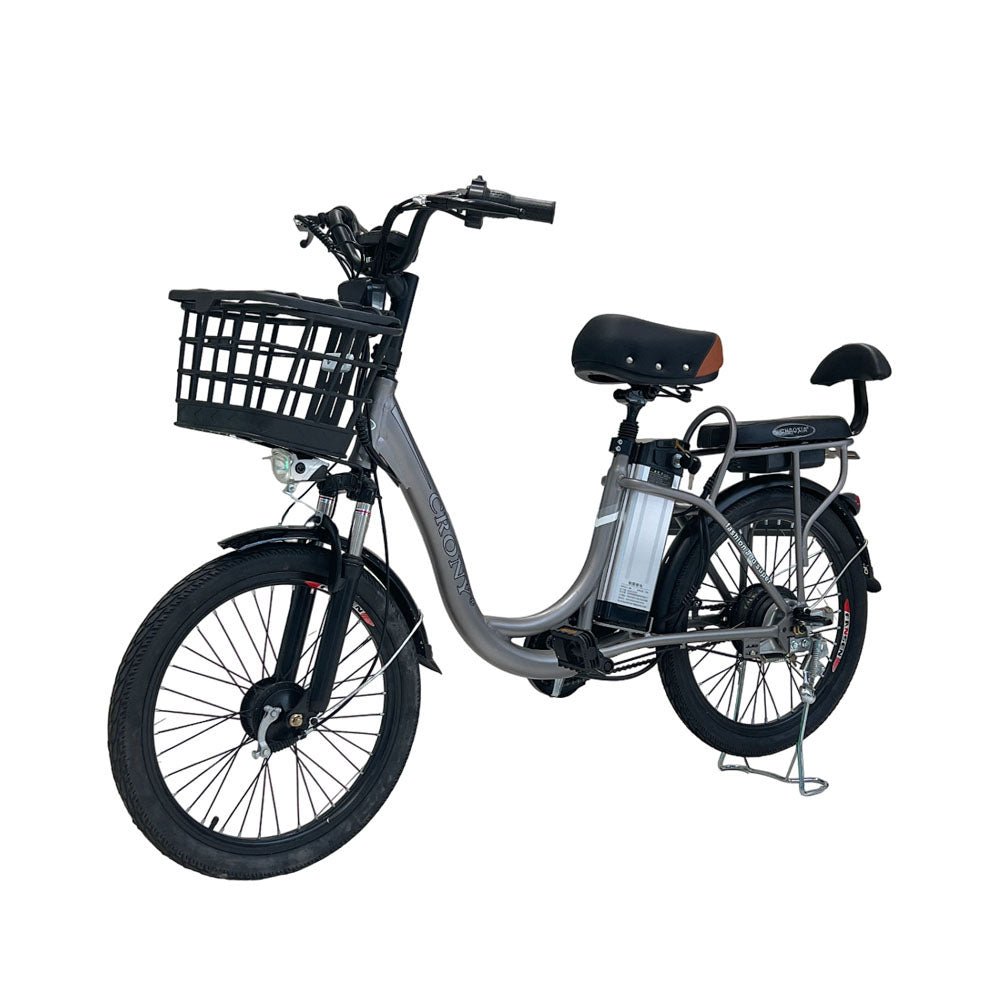 CRONY 22inch The fire spirit bird Electric bicycle E-BIKE bike - Edragonmall.com