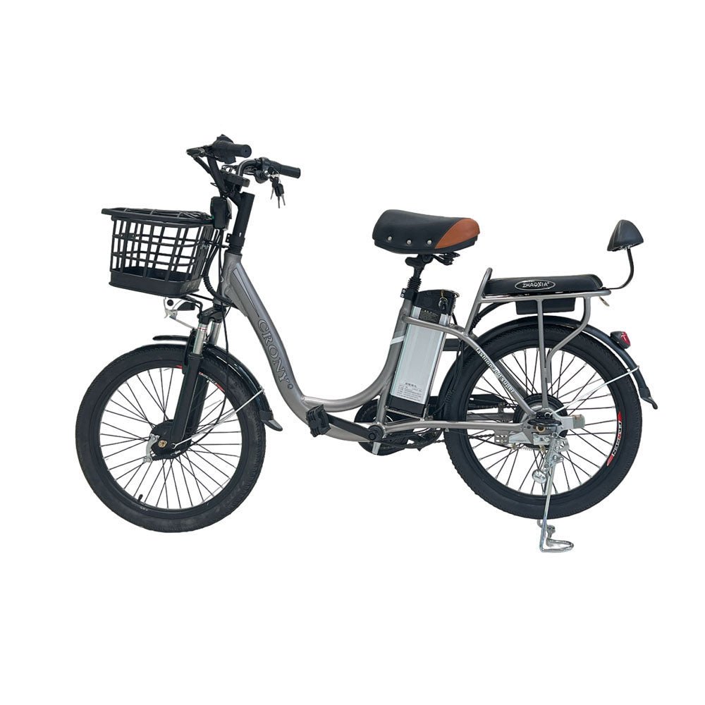 CRONY 22inch The fire spirit bird Electric bicycle E-BIKE bike - Edragonmall.com