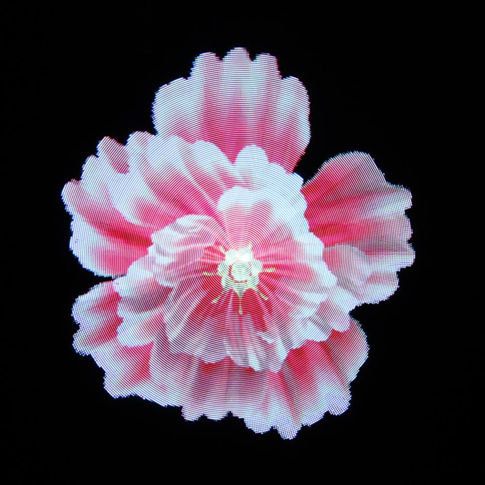 CRONY 3D AD 30CM Hologram Advertising WIFI+APP Advertising LED display Holographic Imaging Naked Eye Fan - Edragonmall.com