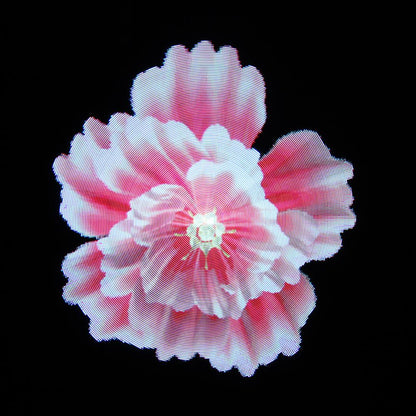 CRONY 3D AD 30CM Hologram Advertising WIFI+APP Advertising LED display Holographic Imaging Naked Eye Fan - Edragonmall.com