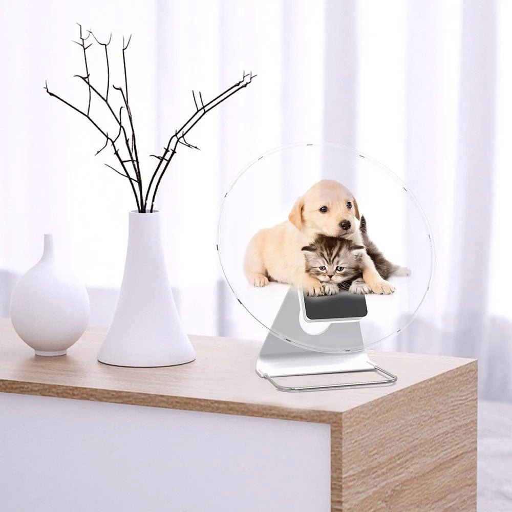 CRONY AD30 3D Hologram Fan 30cm Advertising LED display 3D Holographic Led Fan Hologram Advertising Fan for Ad LED display - Edragonmall.com