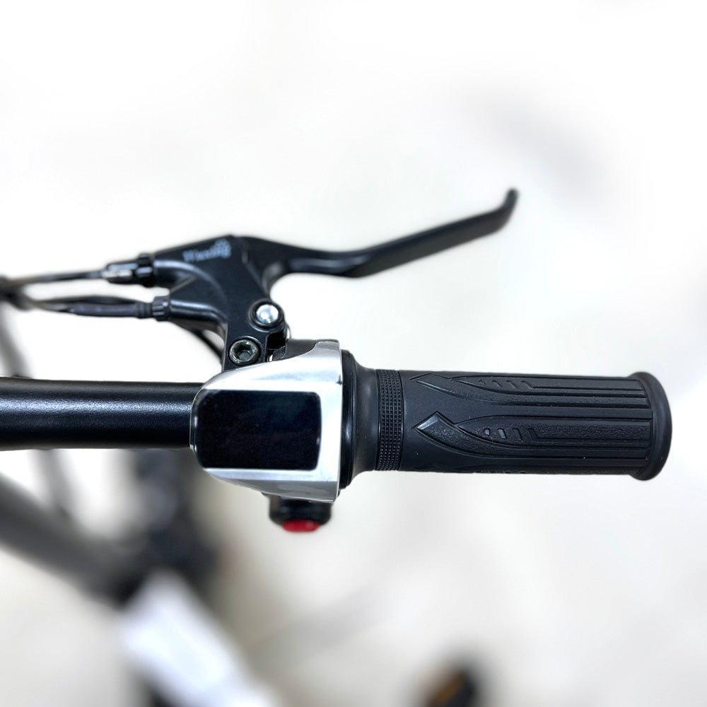 سكوتر كهربائي CRONY F6 بقوة 350 واط للبالغين للتنقل اليومي