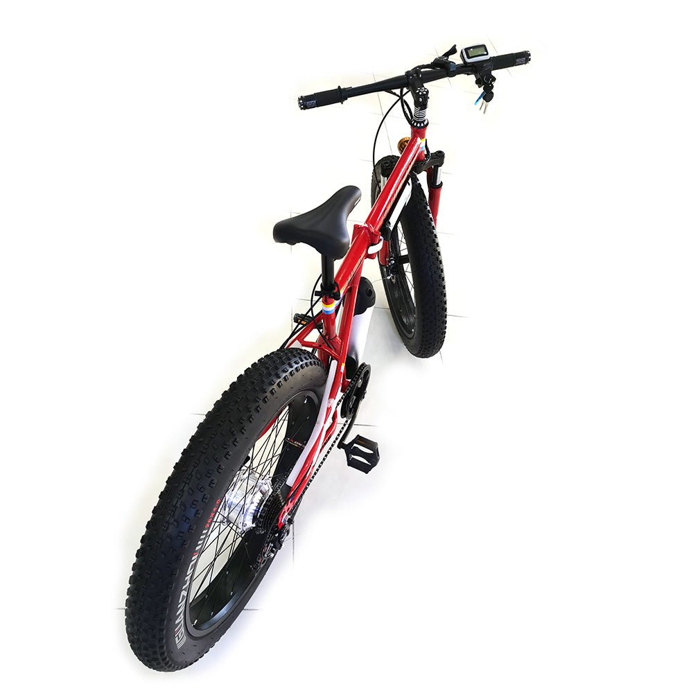 CRONY FB-EM028 26inch Fold Electric Bike 36V Lithium Battery Powerful Sand Ebike - Edragonmall.com